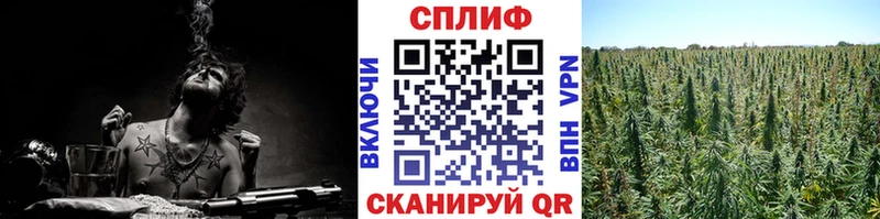 Канабис индика  Солнечногорск 